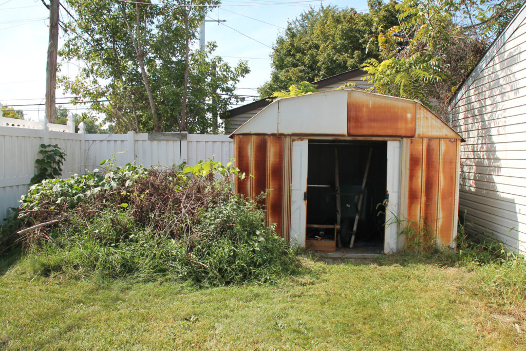 shed in yard