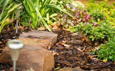 Why Landscaping is Vital in Selling Your REO Property